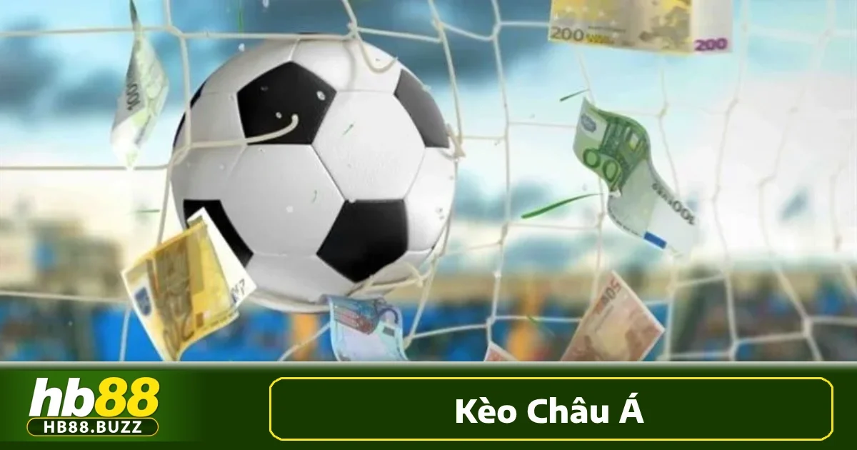 Kèo Châu Á Phân Tích Chuyên Sâu Hỗ Trợ Chọn Cửa Chính Xác 4 Chọn đúng kèo phù hợp là yếu tố quyết định thành công trong cá cược